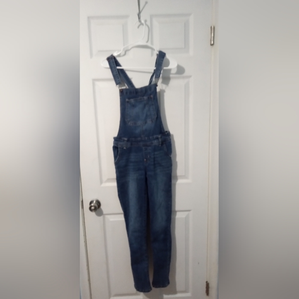 Wallflower Blue Denim Overalls